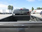 New 2025 Ford F-250 Crew Cab 4x4 Pickup for sale #342167 - photo 6