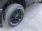 2025 Ram 2500 Crew Cab 4WD Pickup for sale #C25169 - photo 10