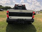2024 Ford F-350 Crew Cab DRW 4WD Pickup for sale #C25186A - photo 10