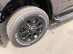 2025 Ram 2500 Crew Cab 4WD Pickup for sale #C25202 - photo 10