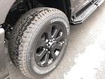 2025 Ram 2500 Mega Cab 4WD Pickup for sale #C25260 - photo 10