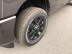 New 2025 Ram 2500 Big Horn Crew Cab 4WD Pickup for sale #C25269 - photo 10