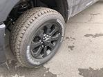 2025 Ram 2500 Crew Cab 4WD Pickup for sale #C25355 - photo 10