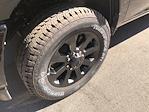2025 Ram 2500 Crew Cab 4WD Pickup for sale #C25386 - photo 11
