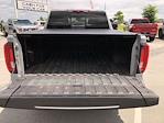 2024 GMC Sierra 1500 Crew Cab 4WD Pickup for sale #M25441A - photo 9