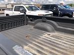 2024 Ram 3500 Crew Cab DRW 4WD Pickup for sale #M25658A - photo 9