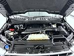 2023 Ford F-150 SuperCrew Cab 4WD Pickup for sale #T251493A - photo 24