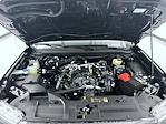 New 2025 Ford Ranger XLT SuperCrew Cab for sale #T252365 - photo 24