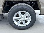 New 2025 Ford F-150 XLT SuperCrew Cab for sale #T252441 - photo 22