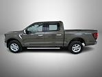New 2025 Ford F-150 XLT SuperCrew Cab for sale #T252441 - photo 8