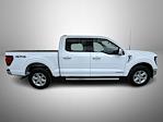 New 2025 Ford F-150 XLT SuperCrew Cab for sale #T252444 - photo 5