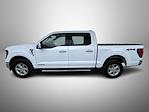 New 2025 Ford F-150 XLT SuperCrew Cab for sale #T252444 - photo 8
