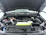 New 2025 Ford F-150 XLT SuperCrew Cab for sale #T252445 - photo 24