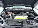 2025 Ford F-150 SuperCrew Cab 4WD Pickup for sale #T252447 - photo 24