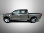 2025 Ford F-150 SuperCrew Cab 4WD Pickup for sale #T252447 - photo 8