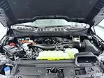New 2025 Ford F-150 XLT SuperCrew Cab for sale #T252457 - photo 24