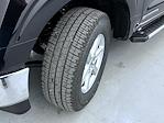 New 2025 Ford F-150 XLT SuperCrew Cab for sale #T252463 - photo 23