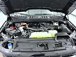 New 2025 Ford F-150 XLT SuperCrew Cab for sale #T252463 - photo 24