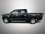 New 2025 Ford F-150 XLT SuperCrew Cab for sale #T252463 - photo 8