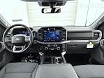 New 2025 Ford F-150 XLT SuperCrew Cab for sale #T252468 - photo 13