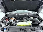 New 2025 Ford F-150 XLT SuperCrew Cab for sale #T252468 - photo 24