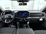 New 2025 Ford F-150 XLT SuperCrew Cab for sale #T252477 - photo 13