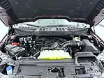 New 2025 Ford F-150 XLT SuperCrew Cab for sale #T252506 - photo 24