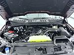 2025 Ford F-150 SuperCrew Cab 4WD Pickup for sale #T252518 - photo 24