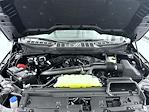 New 2025 Ford F-150 XLT SuperCrew Cab for sale #T252519 - photo 24
