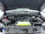 New 2025 Ford F-150 XLT SuperCrew Cab for sale #T252521 - photo 24