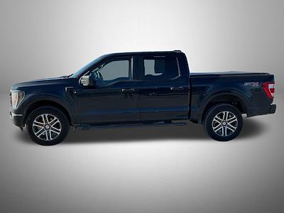 Used 2023 Ford F-150 - photo 1