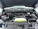 New 2025 Ford F-150 XLT SuperCrew Cab for sale #T252528 - photo 24