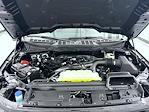 New 2025 Ford F-150 XLT SuperCrew Cab for sale #T252536 - photo 24