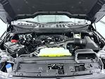 New 2025 Ford F-150 XLT SuperCrew Cab for sale #T252539 - photo 24