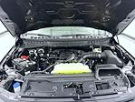 2025 Ford F-150 SuperCrew Cab 4WD Pickup for sale #T252541 - photo 24
