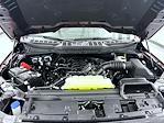 New 2025 Ford F-150 XLT SuperCrew Cab for sale #T252545 - photo 23