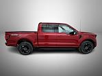New 2025 Ford F-150 XLT SuperCrew Cab for sale #T252545 - photo 5