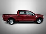 New 2025 Ford F-150 XLT SuperCrew Cab for sale #T252554 - photo 5