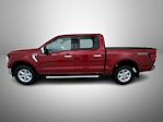 New 2025 Ford F-150 XLT SuperCrew Cab for sale #T252554 - photo 8