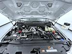 New 2026 Ford F-350 Regular Cab Cab Chassis for sale #T260179 - photo 19