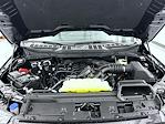 2026 Ford F-150 SuperCrew Cab 4WD Pickup for sale #T260430 - photo 24