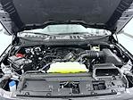 New 2026 Ford F-150 XLT SuperCrew Cab for sale #T260432 - photo 24