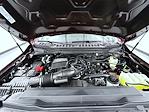 2026 Ford F-350 Crew Cab SRW 4WD Pickup for sale #T260461 - photo 24