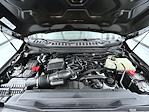 New 2026 Ford F-250 XLT Crew Cab for sale #T260537 - photo 24