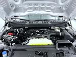 New 2026 Ford F-150 STX SuperCrew Cab for sale #T260586 - photo 24