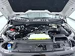 2026 Ford F-150 SuperCrew Cab 4WD Pickup for sale #T260595 - photo 24