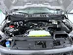 New 2026 Ford F-150 STX SuperCrew Cab for sale #T260646 - photo 24
