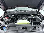 New 2026 Ford F-150 XLT SuperCrew Cab for sale #T260669 - photo 24