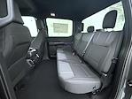 New 2026 Ford F-150 STX SuperCrew Cab for sale #T260671 - photo 19