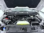 New 2026 Ford F-150 XLT SuperCrew Cab for sale #T260692 - photo 24